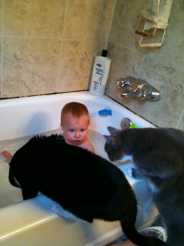 What are you doing in my bath?